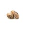 Studio shot three raw organic pecan nuts in-shell isolated on white