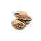 Studio shot three raw organic pecan nuts in-shell isolated on white