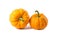 Studio shot of two decorative orange pumpkins