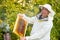 Studious beekeeper male in protective workwear inspecting frame at apiary