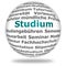 Studium/ Higher education