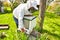 The study of bees is known as melittology. This Beekeeper is ready to check on the bee hive while wearing protective clothing