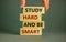 Study hard and be smart symbol. Concept words `Study hard and be smart` on wooden blocks on a beautiful grey background.