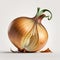A Study in Layers: Unveiling the Sublime Beauty of an Onion