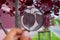 Studying of a red leaf of a tree through a magnifying glass in a male hand, ecology, botany