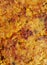 Stuff Paratha an Indian golden brown crisp bread closeup