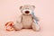 Stuffed Bear animal with toothbrush isolated on pink background. Children dentist theme