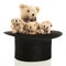 Stuffed bears in black tall hat