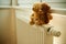 Stuffed bears on radiator