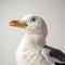 Stuffed Bird In The Style Of Daan Roosegaarde Close-up Shots In 8k Resolution