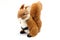 Stuffed brown squirrel