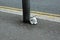 Stuffed Bunny Toy Left on London Street