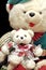 Stuffed craft teedy bears