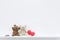 Stuffed cute teddy bears on a white cabinet with red balloons. 3d rendered illustration