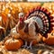 Stuffed fabric turkey in a field with pumpkins and corn husks
