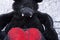Stuffed funny black bat toy with red fluffy heart on creepy cotton web cloth.