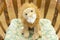 Stuffed lion toy in chair