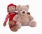 Stuffed Teddy Bear and Monkey Buddy