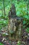 Stump in the forest overgrown with mushrooms and moss.