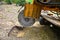 Stump Grinding Machine Clearing Stump