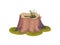 Stump with a hole in the center of the trunk. Vector illustration on white background.