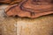 The stump of a tree with knots and patterns rendered on a marble floor