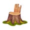 Stump or Tree Stub Covered with Moss as Forest Element Vector Illustration