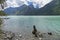 Stump in the water near the shore of the mountain lake. Altai Mo