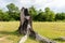 Stumps on the river caused by deforestation and forest burning in Thailand,