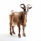 Stunning 3d Image Of A Goat On White Background