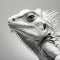 Stunning 3d Render Of Iguana In Stark Black And White Photography Style