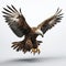 Stunning 3d Rendering Of A Majestic Flying Eagle