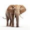 Stunning 8k Elephant Artwork With Eye-catching Detail