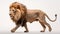 Stunning 8k Resolution Lion Walking Against White Background