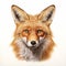 Stunning 8k Uhd Fox Drawing By Alex Gross - Exquisite Details And Natural Color Design