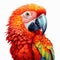 Stunning 8k Uhd Parrot Drawing By Alex Gross - Exquisite Details And Natural Color Design