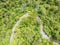 Stunning aerial drone view of a windy road route 12 leading through Waipoua Kauri Forest