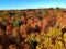 Stunning aerial view of fall foliage near Wilmington, Delaware, U.S.A