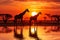 Stunning african savannah scene. majestic giraffes gracefully roaming as the sun sets on the horizon