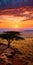 Stunning African Savannah Tree: A Captivating National Geographic Photo