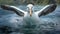 Stunning Albatross Photo Illustration: Capturing The Beauty Of Ocean Academia