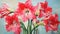 Stunning Amaryllis Art: Red Flowers In Charles Rennie Mackintosh Style
