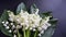 A stunning arrangement of white Lily of the Valley flowers set against a dramatic black back