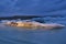 Stunning atmosphere of huge iceberg reflecting in the cool glacial water near the glacier. Glacial Lake jokulsarlon