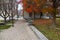 A stunning autumn landscape in the park with gorgeous autumn colored trees and plants with blue sky and clouds