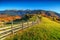 Stunning autumn rural landscape near Bran,Transylvania,Romania,Europe