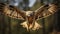 Stunning Backlit Photography: Majestic Hawk In Flight