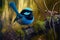 Stunning blue Fairy Wren bird in a forest, warm lighting