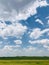 Stunning blue sky with billowing white clouds hovering above a lush field of green grass