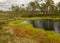 Stunning bog views. beautiful clouds. View of the beautiful nature in the swamp - pond, pines, moss. Sunny day. a typical West-